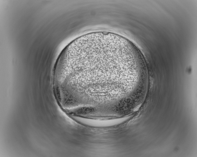 X0000090501527200707272351