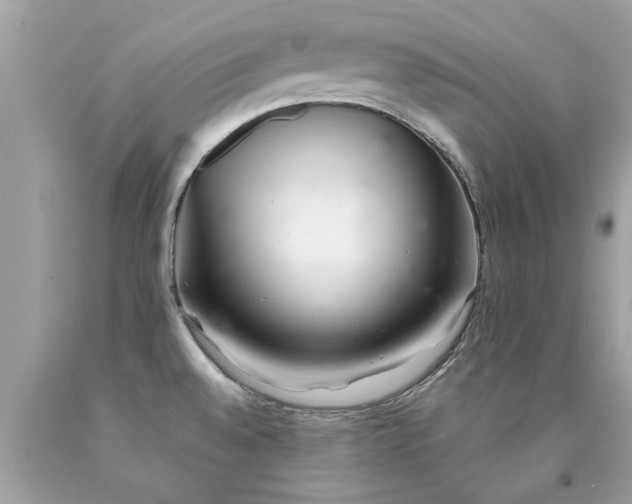 X0000090501528200707272351