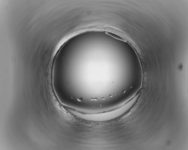 X0000090501530200707272351