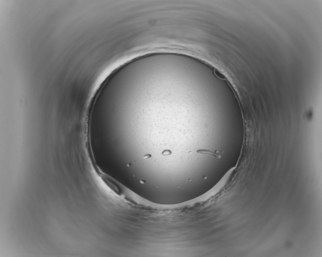 X0000090501531200707272351