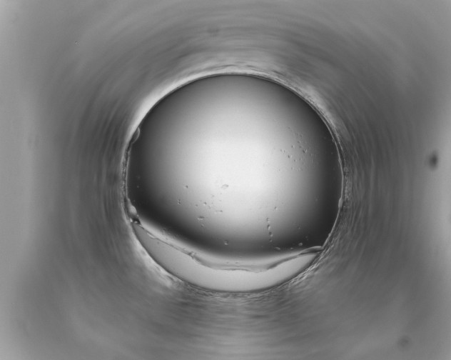 X0000090501532200707272351