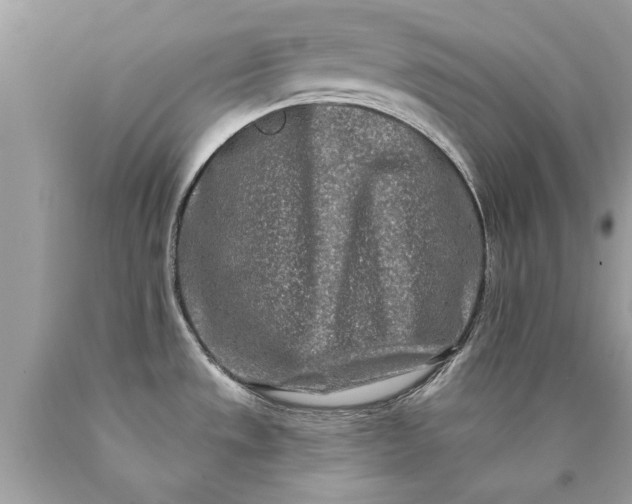 X0000090501533200707272351