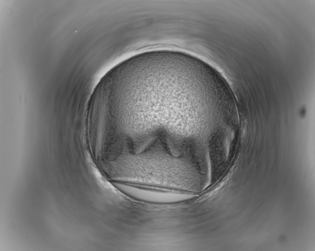 X0000090501534200707272351