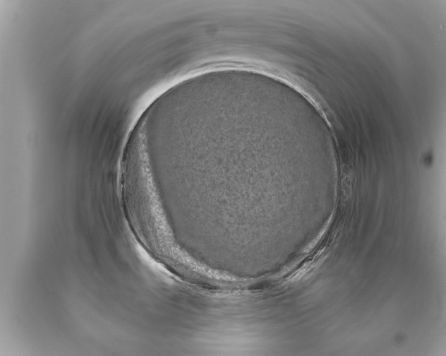 X0000090501535200707272351