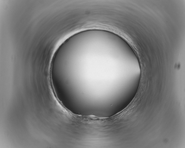 X0000090501536200707272351