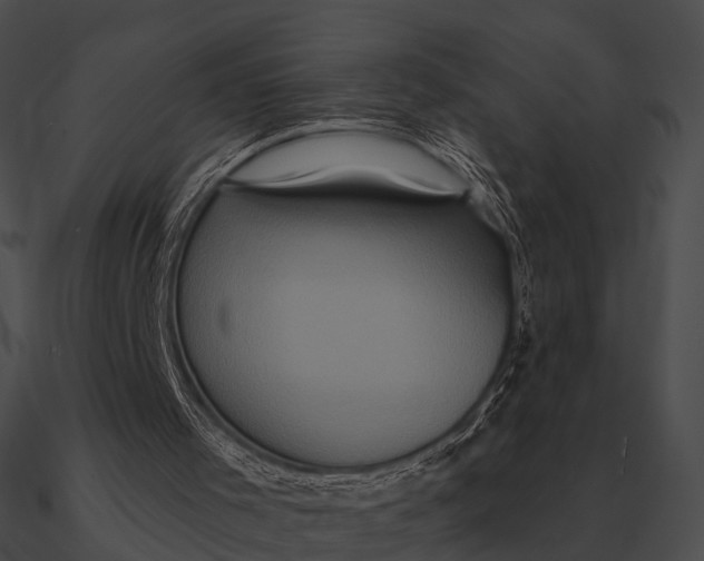 X0000090500001200708031219