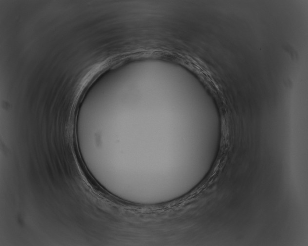 X0000090500003200708031219