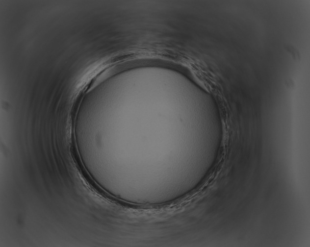 X0000090500005200708031219