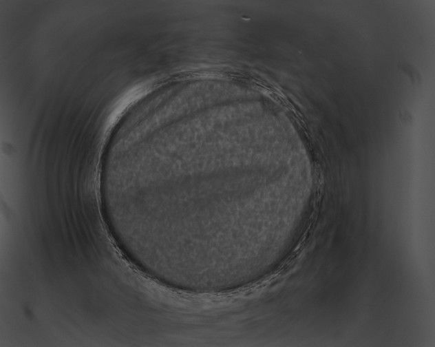 X0000090500006200708031219