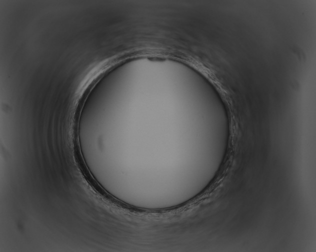 X0000090500007200708031219