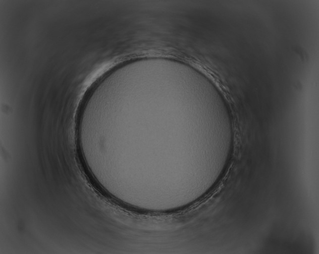 X0000090500008200708031219