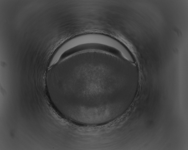 X0000090500009200708031219