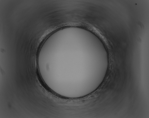 X0000090500011200708031219