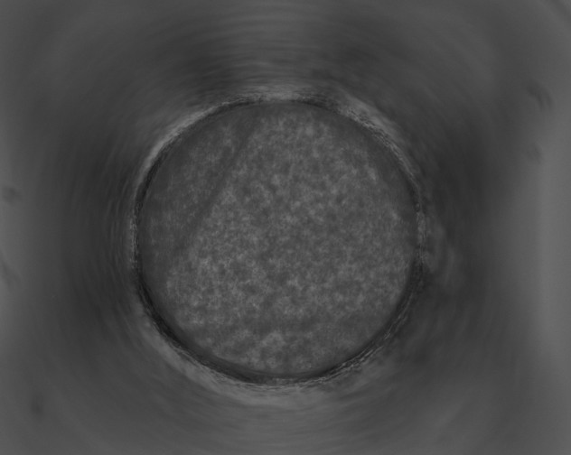 X0000090500012200708031219