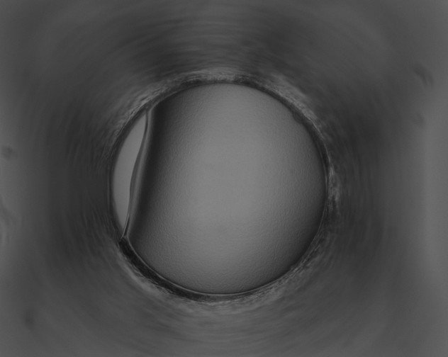 X0000090500013200708031219