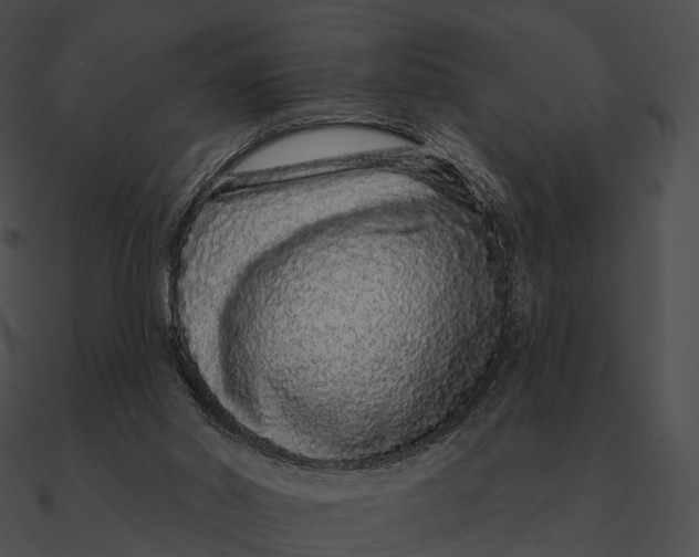 X0000090500014200708031219