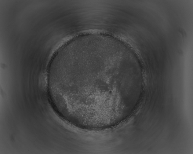 X0000090500016200708031219