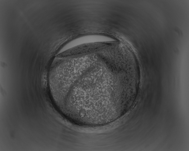 X0000090500017200708031219