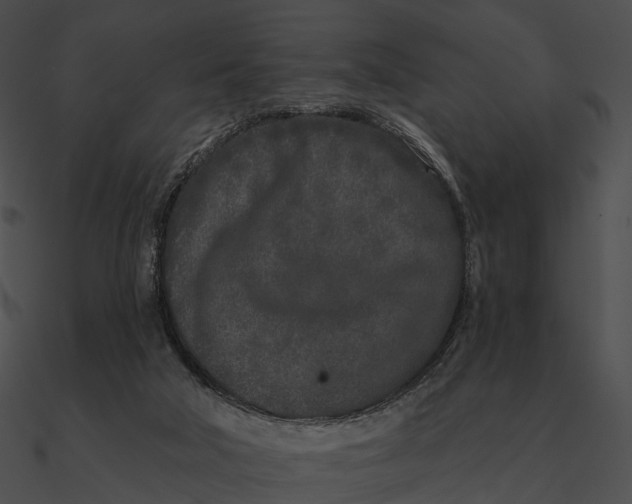 X0000090500018200708031219