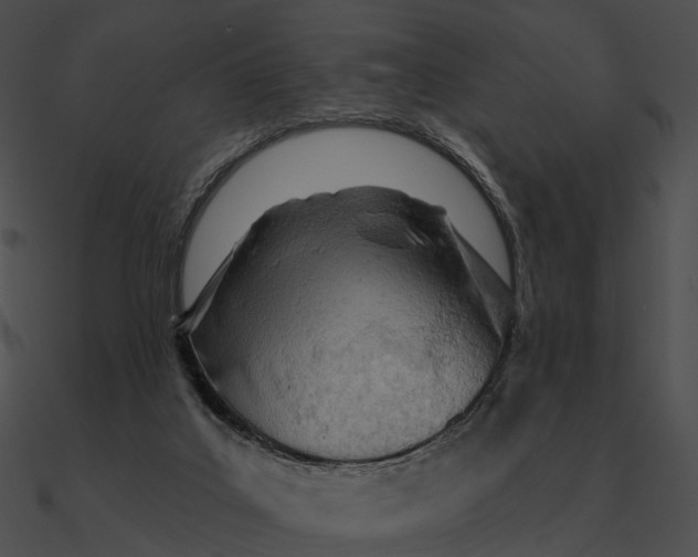 X0000090500019200708031219