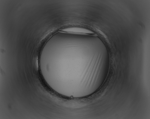 X0000090500020200708031219