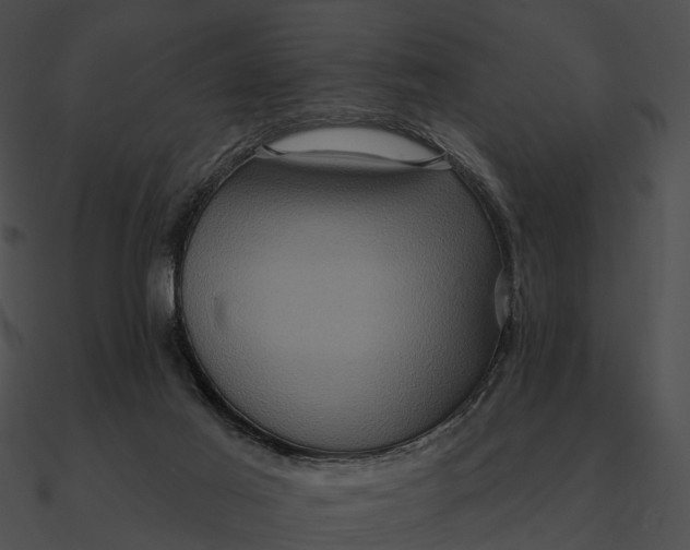 X0000090500021200708031219