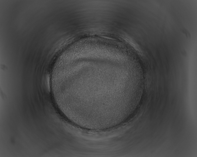 X0000090500022200708031219