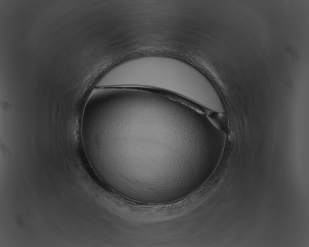 X0000090500023200708031219