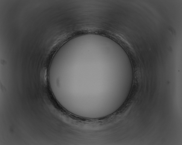 X0000090500024200708031219