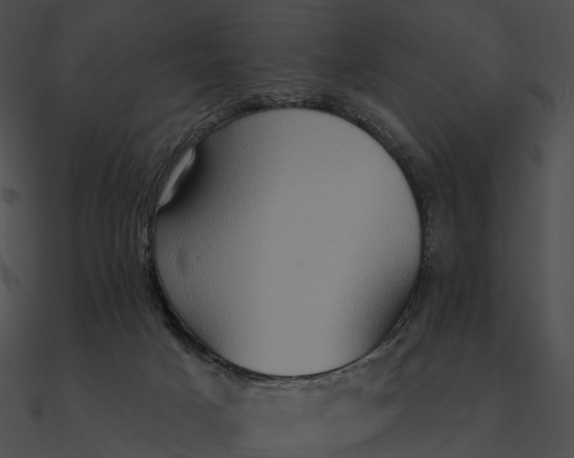 X0000090500025200708031219