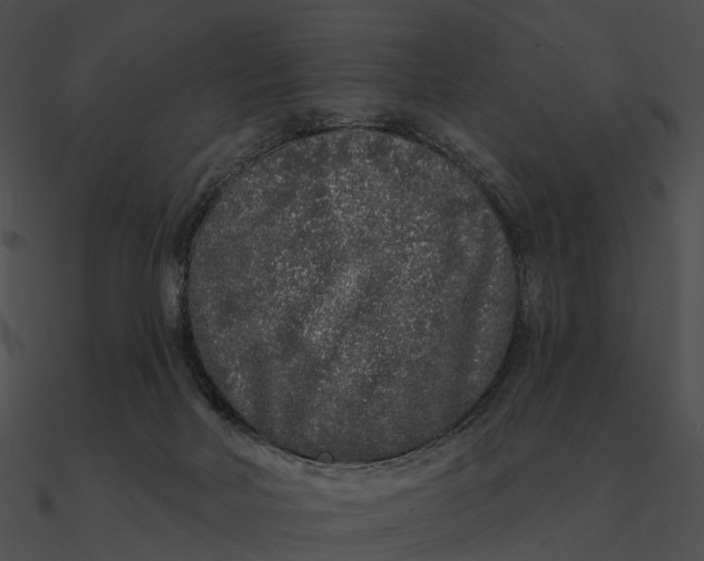 X0000090500026200708031219