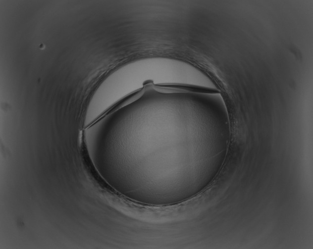 X0000090500027200708031219