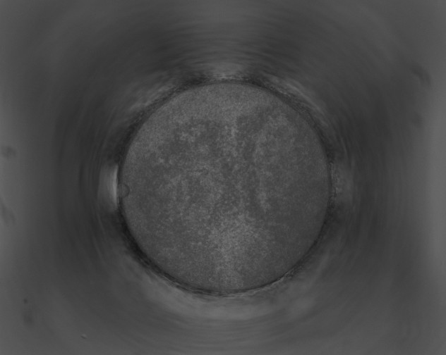 X0000090500028200708031219