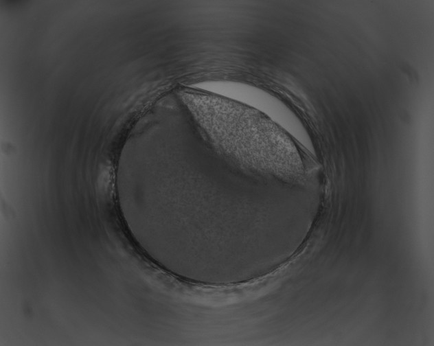 X0000090500029200708031219