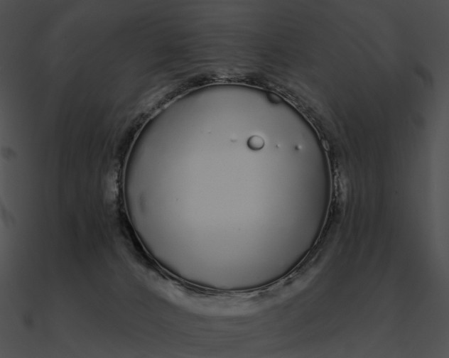 X0000090500032200708031219