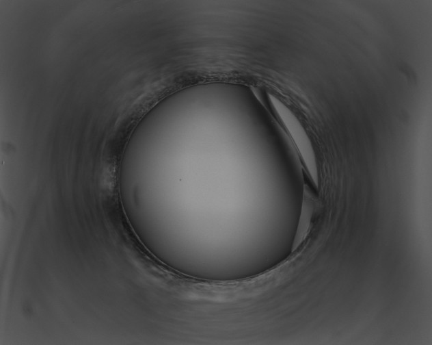 X0000090500033200708031219