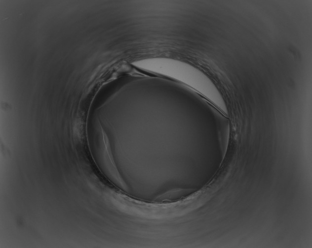 X0000090500035200708031219