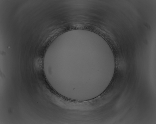 X0000090500036200708031219