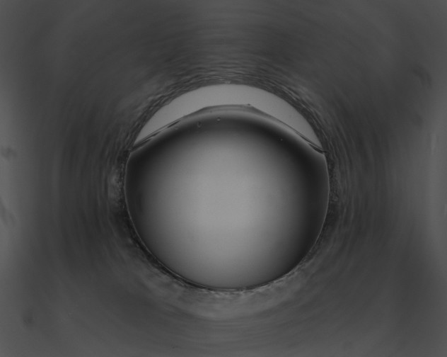 X0000090500037200708031219