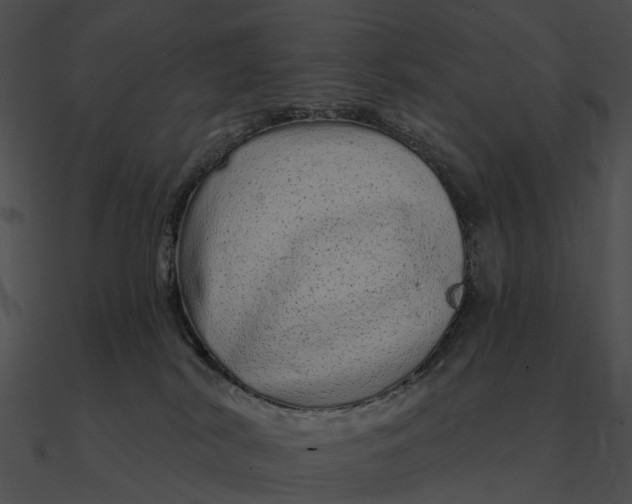 X0000090500038200708031219