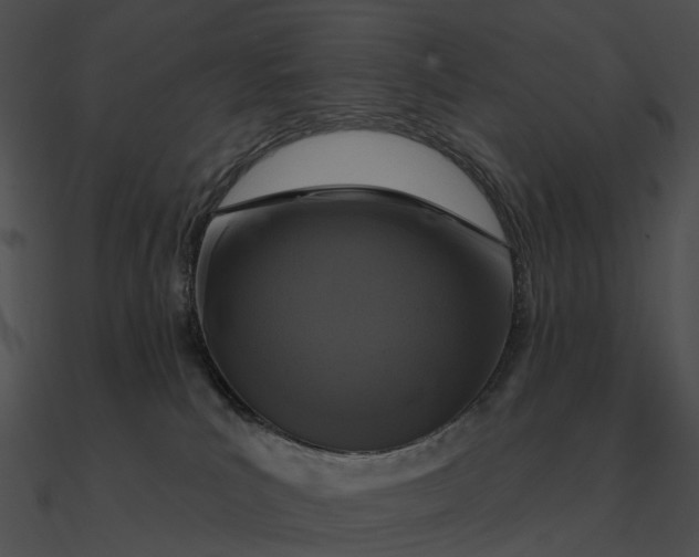 X0000090500039200708031219