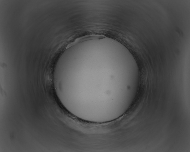 X0000090500040200708031219