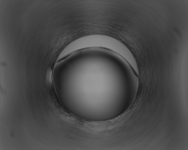 X0000090500041200708031218