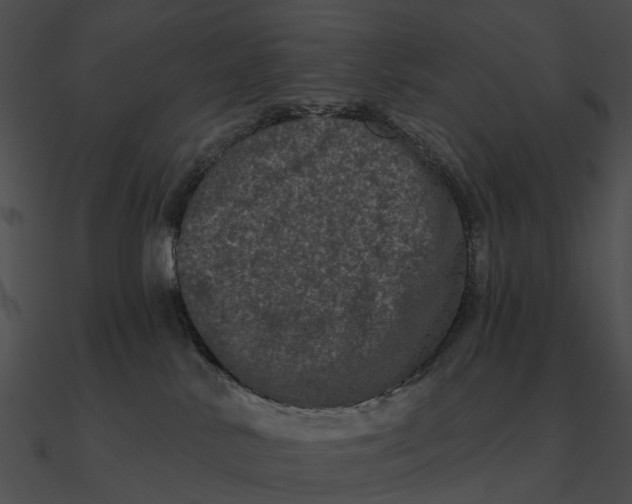 X0000090500042200708031218