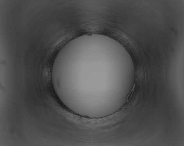 X0000090500043200708031218