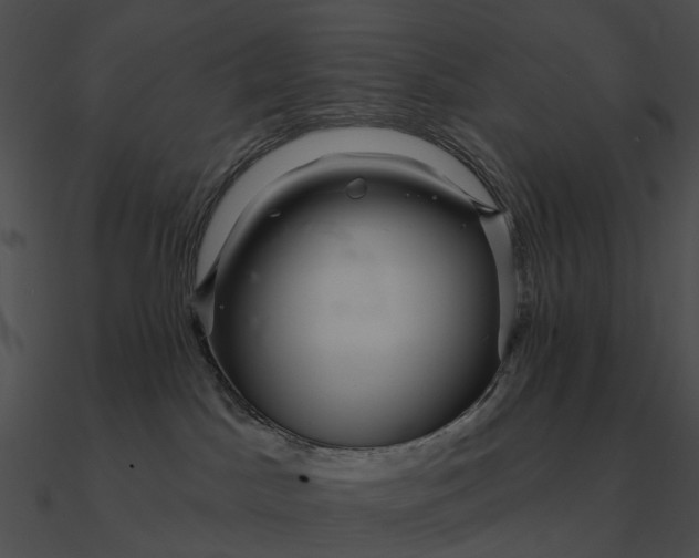 X0000090500045200708031218