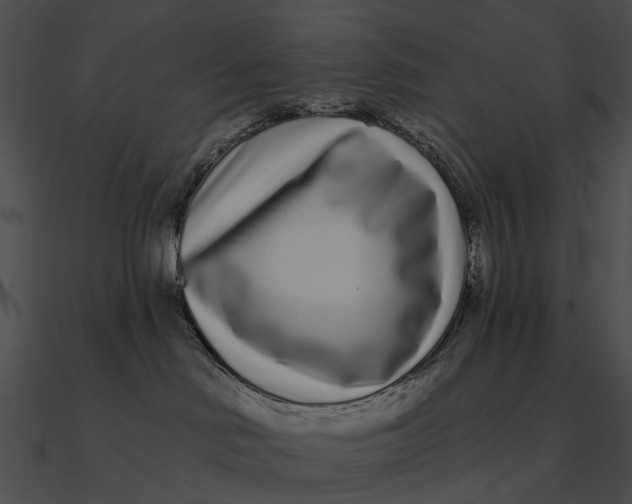 X0000090500046200708031218