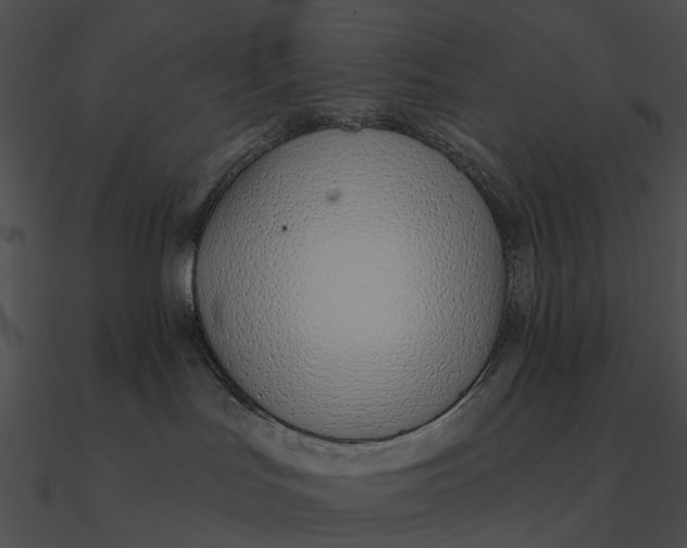 X0000090500047200708031218