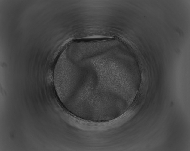 X0000090500048200708031218