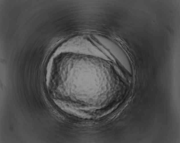 X0000090500049200708031218